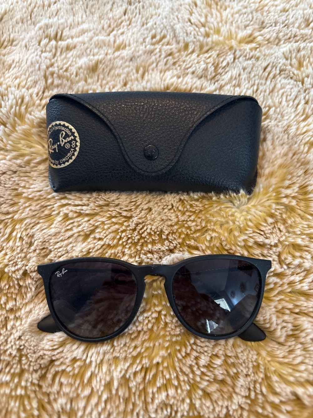Ray Ban Erika Sunglasses